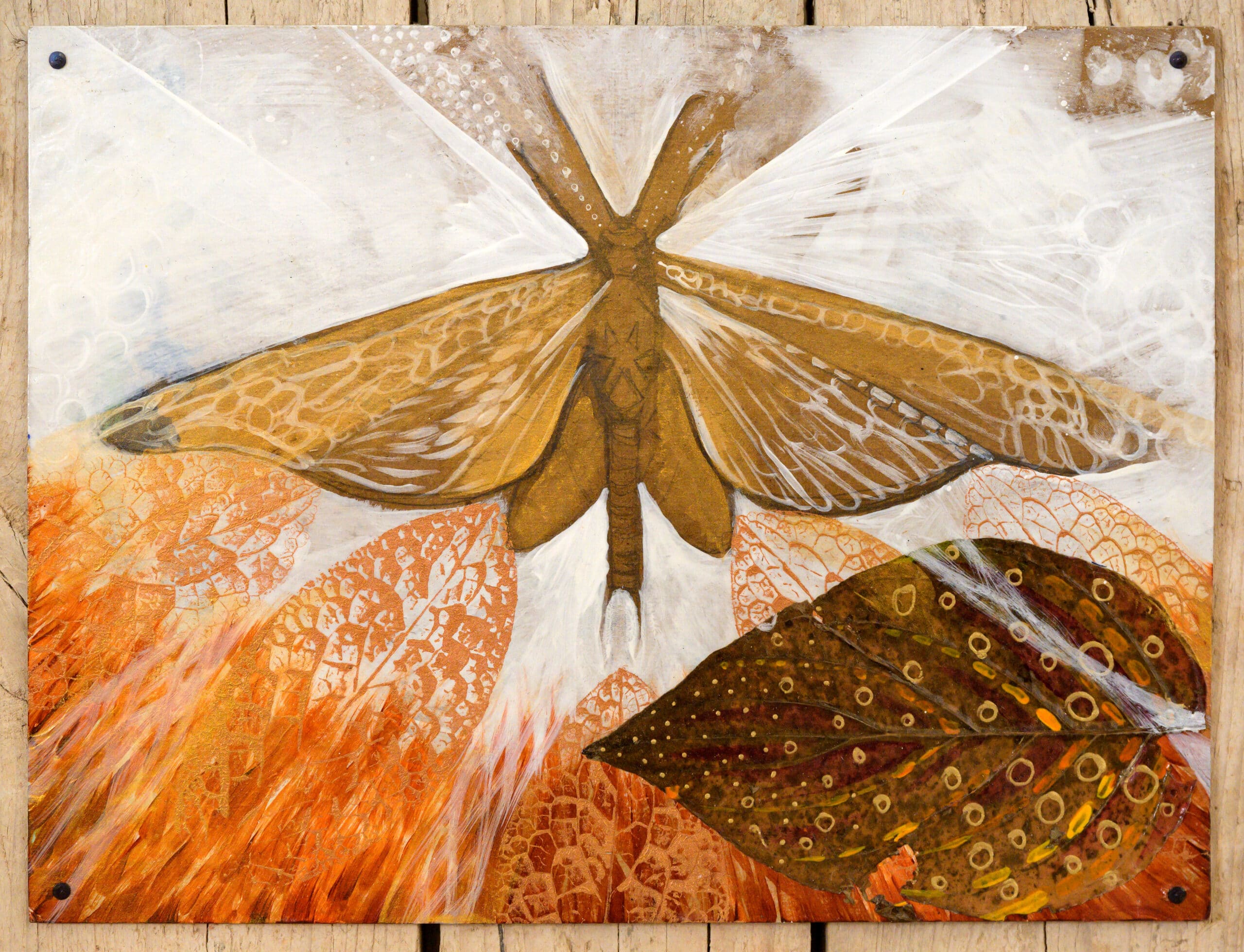 Moth. Mixed media on thick paper nailed to board. Size.