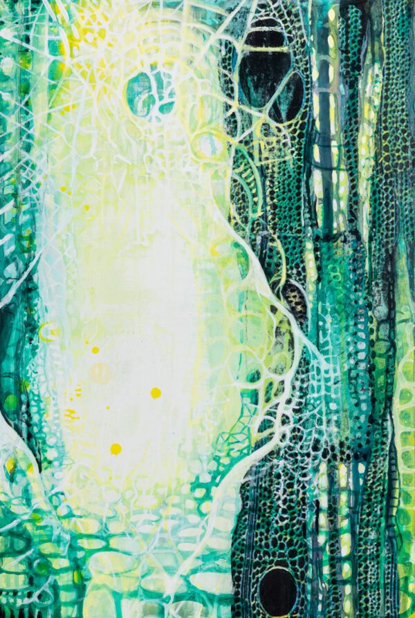 Abundance (water plant)